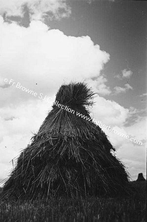 HARVEST SCENE